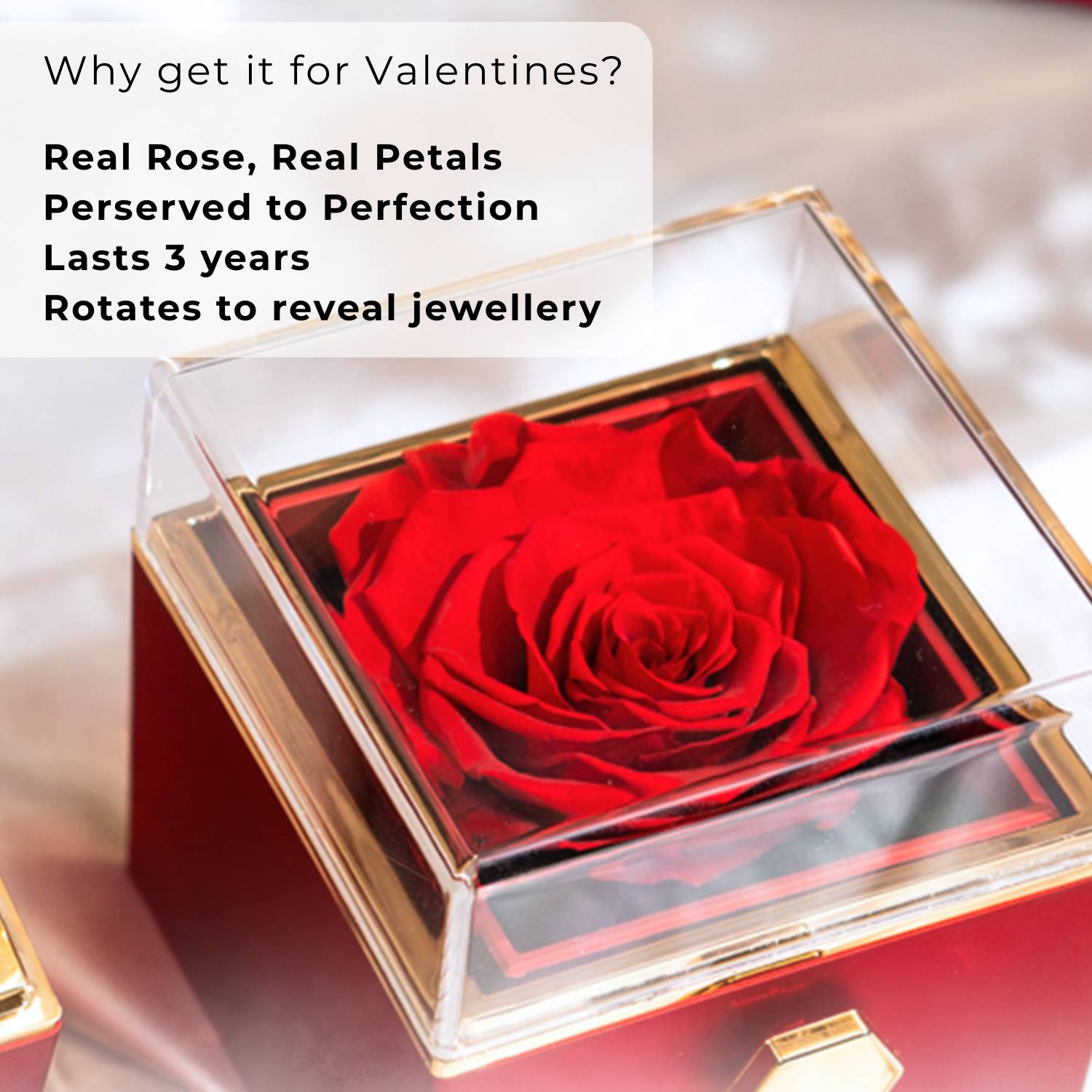 Initials Oval Necklace Gold