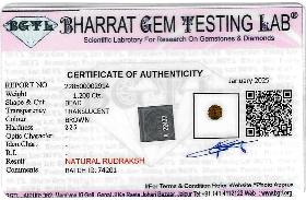Rudraksh lab certificate 1