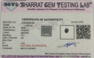 Rudraksh lab certificate 9