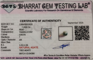 Tree Agate lab certificate 5